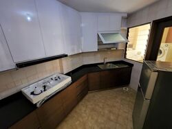 Dover Parkview (D5), Condominium #555569941